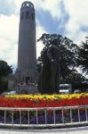 La Coit Tower