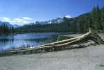 Mammoth Lakes