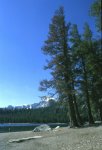 Mammoth Lakes