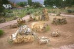 Escalante petridied forest