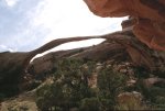 Landscape arch