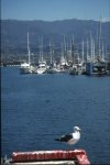 Santa Barbara