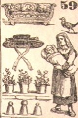 ---- VASI DI FIORI ---