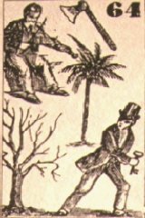 ---- PALMA E OLIVO ---