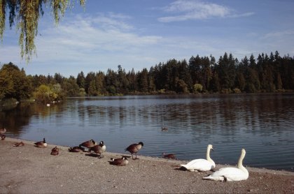 Vancouver - Stanley park