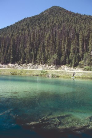 Olive lake