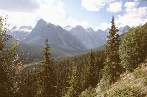 'Castle mountain' e i 'ten peaks'