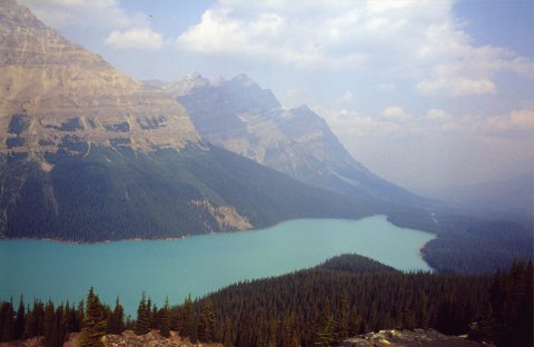 Peyto lake