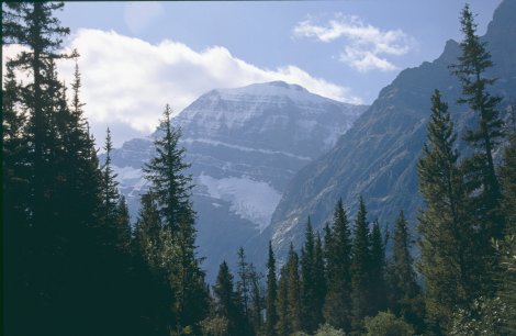 monte Edith Cavell 3363 m
