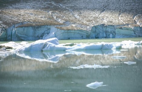 ghiacciaio e lago Cavell