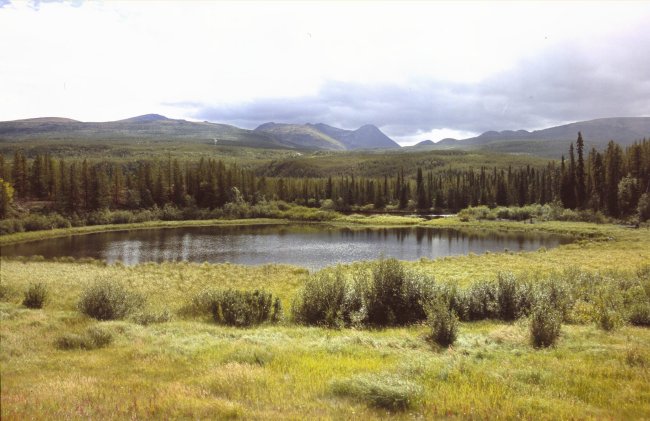 can15-43.jpg (62115 bytes)