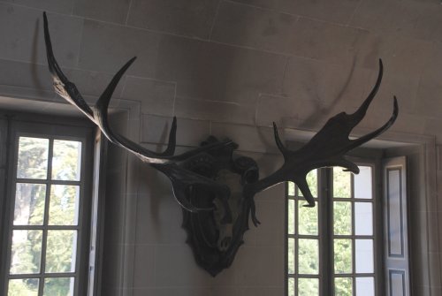 chateau Chenonceau