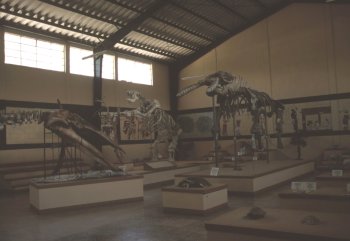 museo di Estanzuela