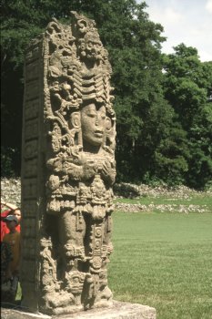 Stele D