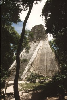 Tempio V