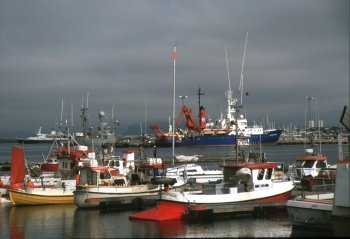 Il porto