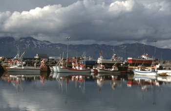 Husavik - il porto