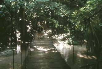 Puente Chiapas