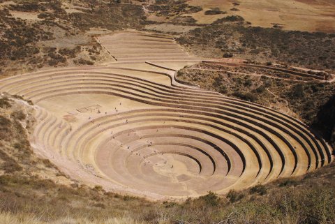 Moray