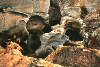 Bourke's Luck Potholes