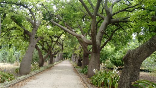 orto botanico