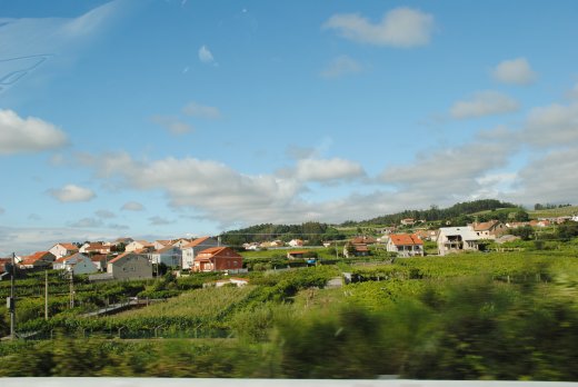 Galizia