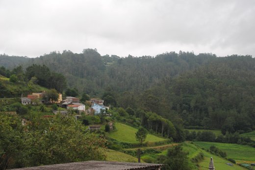 Galizia