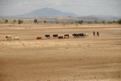 Tanzania