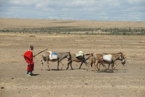 Tanzania