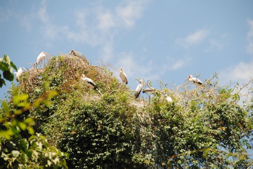lake Manyara national park