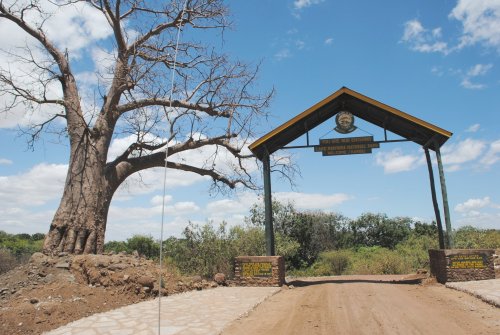 lake Manyara national park