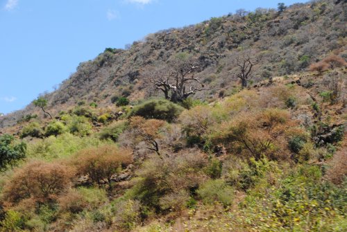 lake Manyara national park