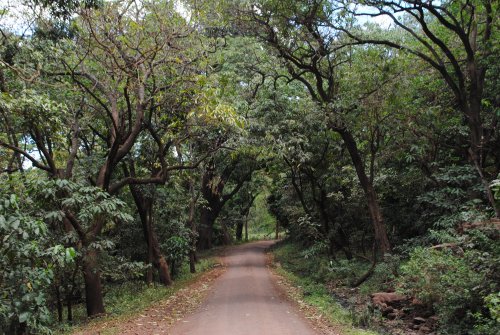 lake Manyara national park