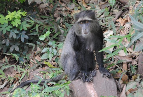 lake Manyara national park