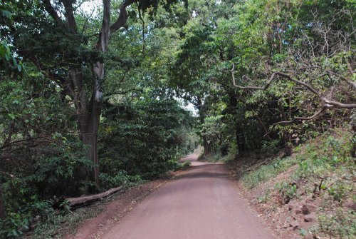 lake Manyara national park