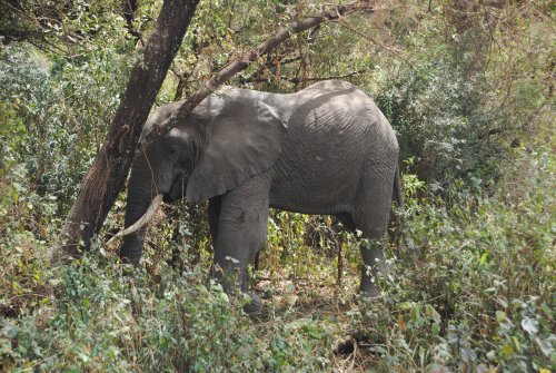 lake Manyara national park