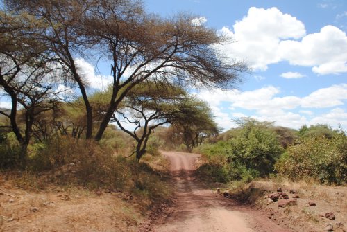 parco Manyara
