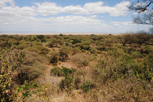 lake Manyara