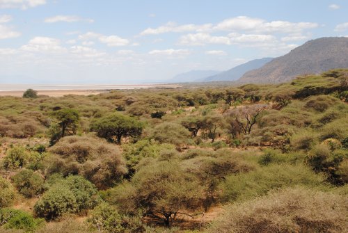 lake Manyara national park