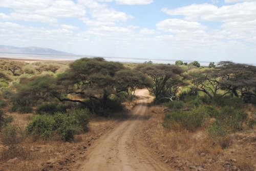 lake Manyara