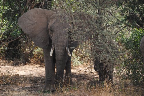 lake Manyara national park