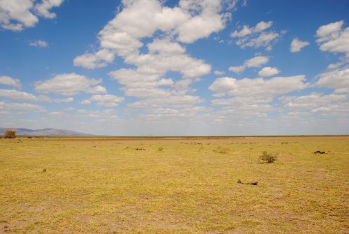 lake Manyara national park