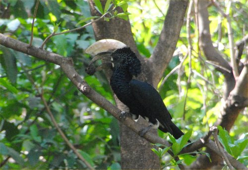 lake Manyara national park