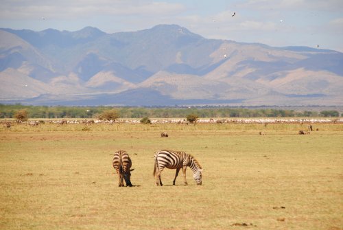 lake Manyara national park