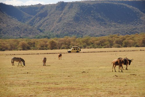 Manyara