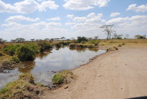 Serengeti