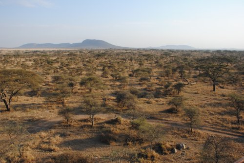 Serengeti