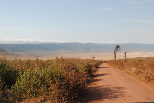 cratere Ngorongoro