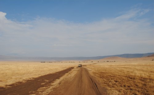 nel cratere Ngorongoro