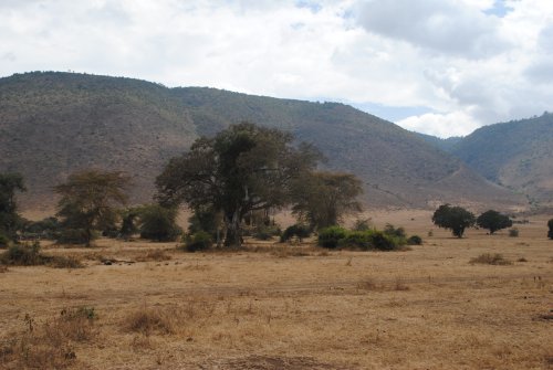 cratere Ngorongoro